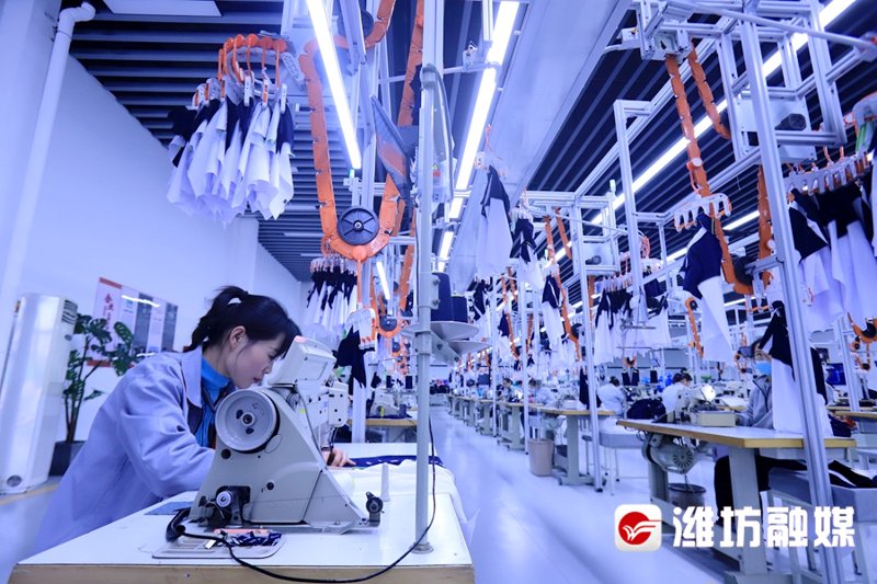 涤棉坯布行业动态探析:从设计到市场的全方位解读